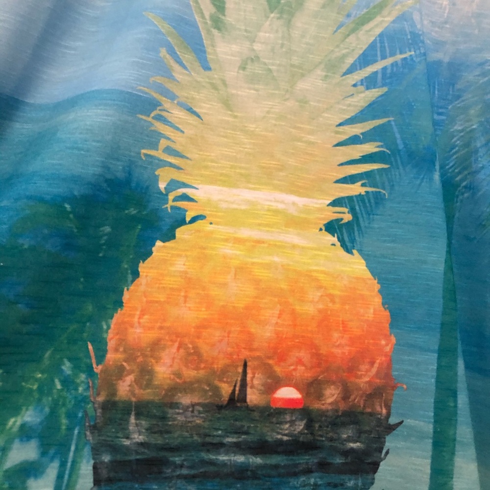 Pineapple! Sun Bay Pineapple t-shirt
